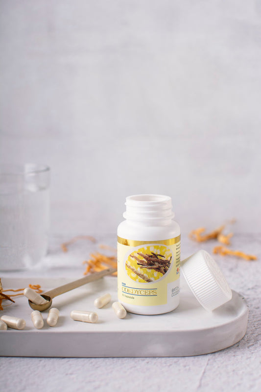 Cordyceps Sinensis En Cápsulas