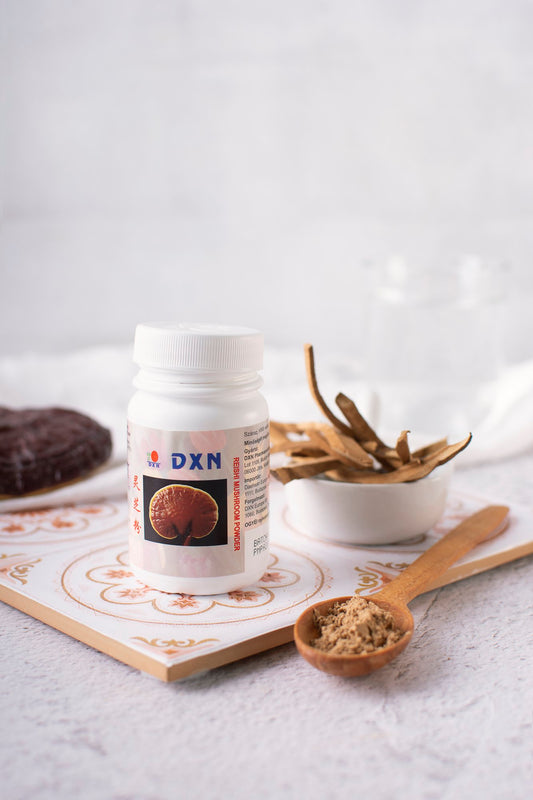 Polvo de Reishi 70 GR